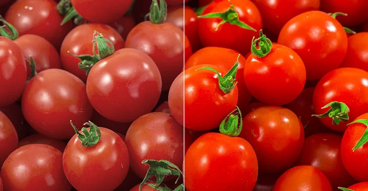 مقایسه گوجه ها تحت نور دارای شاخص نمود رنگ بالا و لامپی که CRI پایینی دارد.
